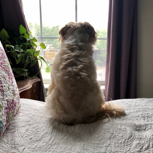 Meet your Posher, Christian - Picture 2 of 2